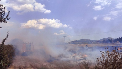 Από ακαθάριστα οικόπεδα η φωτιά στην Ανάβυσσο – Υπάρχουν ενδείξεις και για εμπρησμό