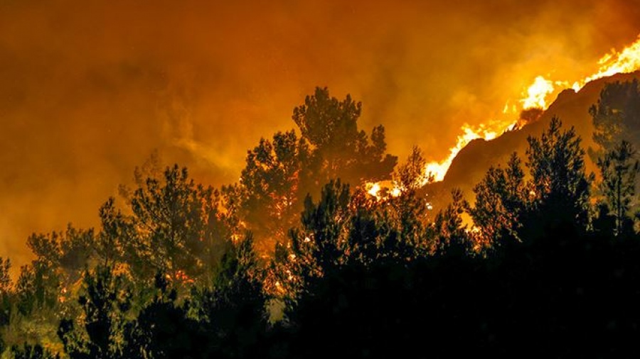 Όλυμπος: Πυρκαγιά σε δύσβατη δασική περιοχή κοντά στο καταφύγιο της Κορομηλιάς - Στο σημείο οι πυροσβεστικές δυνάμεις
