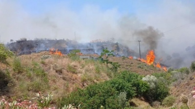 Μάχη με τις φλόγες σε δασική έκταση στη Χίο - Ήχησε το 112, εκκενώσεις περιοχών